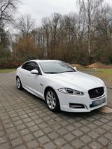 Jaguar XF 3.0 L V6 Diesel - - gebrauchte Jaguar XF aus dem Jahr 2014