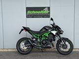 Kawasaki Z900 Shark Kurzheck LED Miniblinker - Angebote
