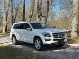 Mercedes-Benz GL 450 - Mercedes-Benz GL 450 Gebrauchtwagen
