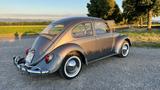 Volkswagen Käfer - Volkswagen Käfer mit Benzin-Antrieb: Coupé