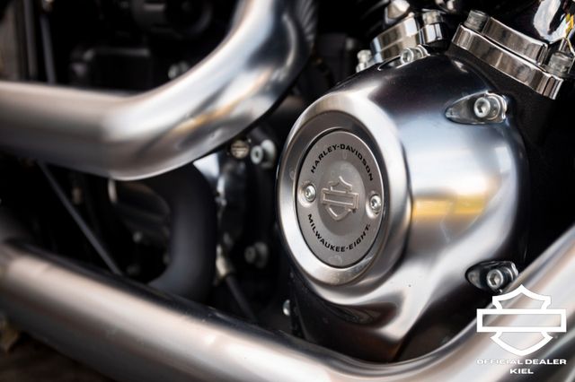 Fahrzeugabbildung Harley-Davidson  FAT BOY FLFB SOFTAIL - Klappenauspuff