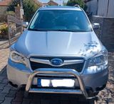 Subaru Forester - Subaru in Frankfurt (Main)