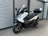 Honda FORZA 125 / "END OF SUMMER DEAL" - ROLLER DE 125