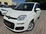 Fiat Panda Lounge*ALU*PDC - gebrauchte Fiat Panda aus dem Jahr 2017