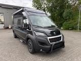 Bravia Swan 599 / Tageszulassung - Bravia Kastenwagen