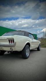 Ford Mustang - Ford Mustang aus 1967: Coupe