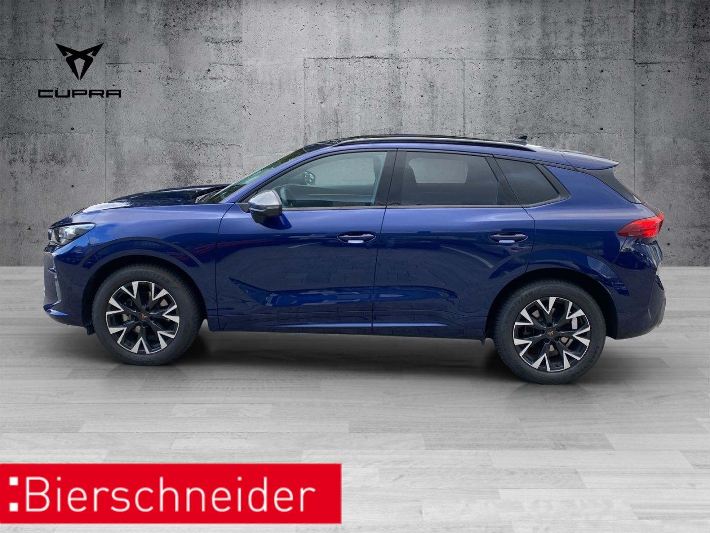 Cupra Terramar - Bild 5