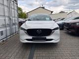 Mazda CX-5 5 WGN 2.2L SKYACTIV D 184ps 6AT AWD TAKUMI - Mazda CX-5: Takumi
