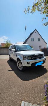 Land Rover Discovery 3.0 TDV6 SE - Land Rover Discovery: Weiß
