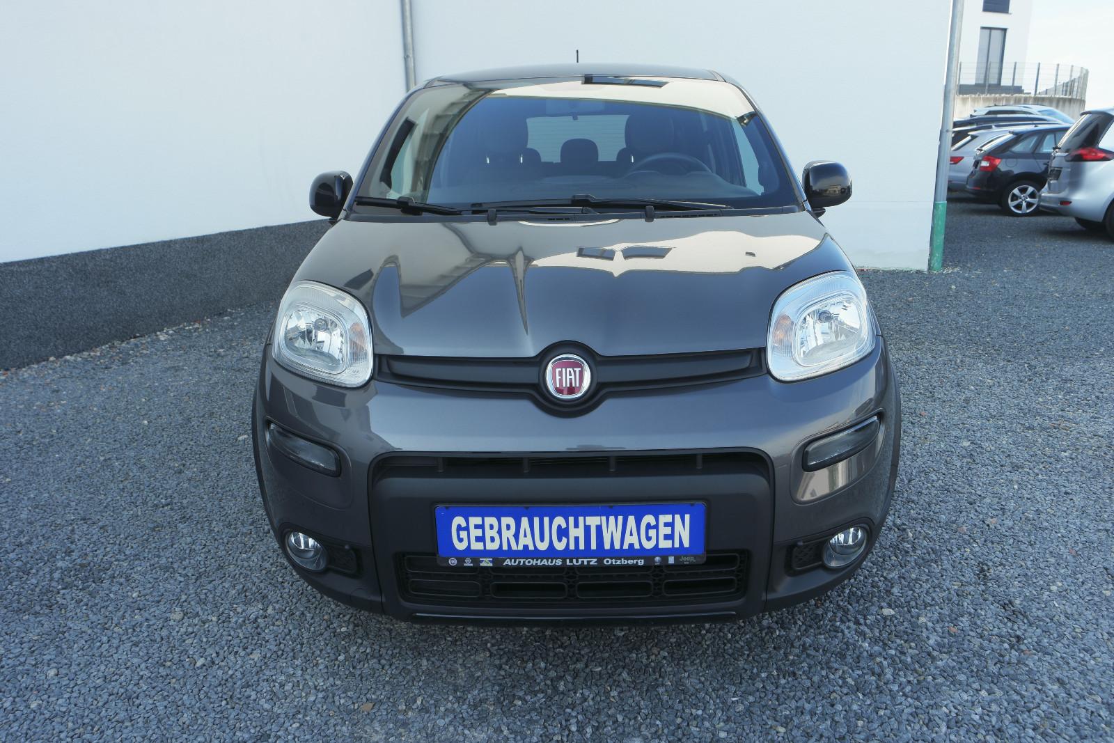 Fiat Panda Sport 1.0 Mild-Hybrid 70 PS*Klima*PDC