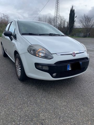 Fiat Punto Evo Punto Evo 1.2 5 porte S&S Dynamic