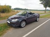 Ford Focus CC Cabrio 2,0 Trend - Sitzhzg, AHK, Tempom - Ford Focus aus 2008: Cabrio