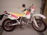 Suzuki DR 350 SH mit Sitzhöhenverstellung - SUZUKI 350