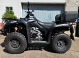 Dinli Centhor 600 - DINLI QUAD