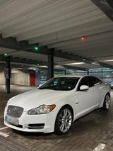 Jaguar XF 3.0bitd - gebrauchte Jaguar XF aus dem Jahr 2011