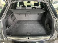 Audi SQ5 - Vorschau Bild 6