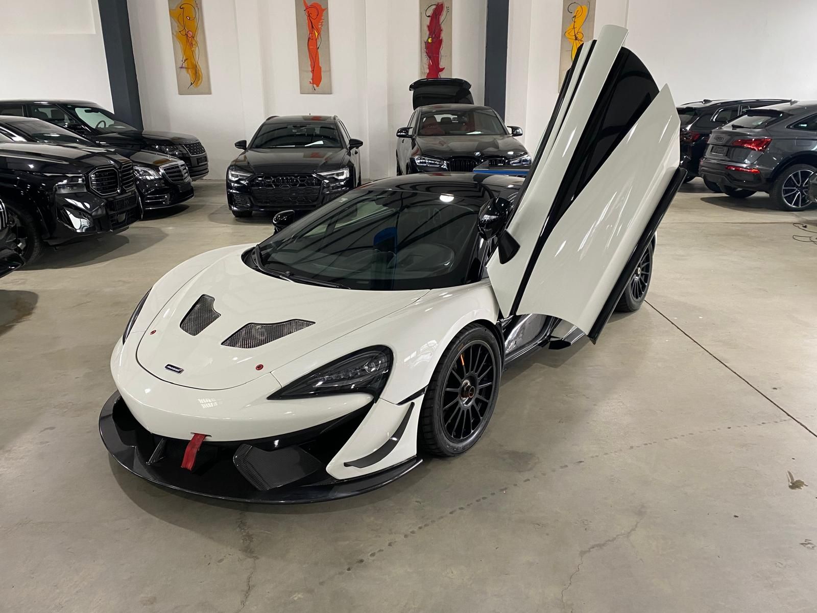 Fahrzeugabbildung McLaren 570S GT4 ***RACECAR***