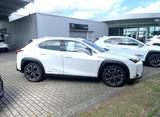 Lexus UX 250 h - Lexus Gebrauchtwagen in Braunschweig