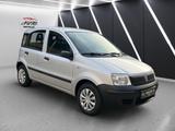 Fiat Panda 1.1 8V Active - Fiat Panda Active mit Benzin-Antrieb