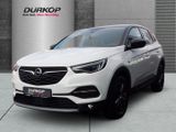 Opel Grandland X Turbo Design Line Navi LED Dyn. Kurv - Opel Grandland (X) in Hannover