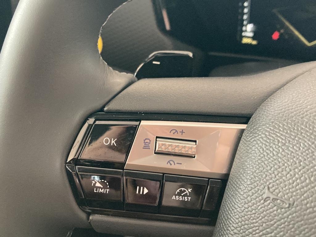 DS Automobiles DS4 Pallas AT Shz Kamera AHK Tempomat