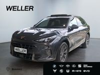 Cupra Terramar - Vorschau Bild 1