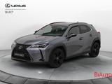 Lexus UX Hybrid Midnight - graue Lexus UX