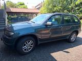 BMW X5 3.0d - - BMW X5: Grün