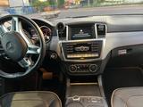 Mercedes-Benz GL 350 BlueTEC 4MATIC - AMG  - Mercedes-Benz GL 350 Gebrauchtwagen