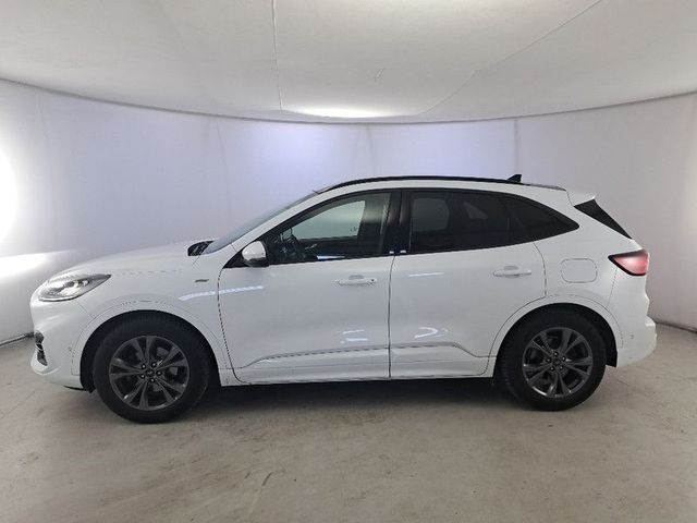 Ford FORD KUGA 1.5 EcoBlue 120CV 2WD ST-Line X Auto