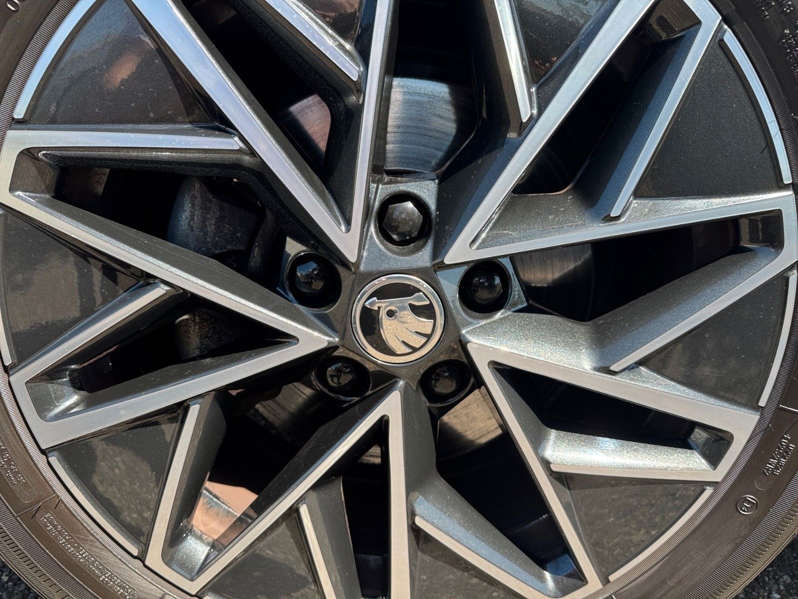 Fahrzeugabbildung SKODA Octavia Combi Ambition 1.0 eTSI