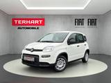 Fiat Panda 1.0 Mild Hybrid/PDC/Start&Stopp/Nebelschei - Fiat Panda: 1.1