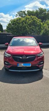 Opel Grandland (X) 1.5 Diesel 96kW Opel 2020 Auto... - Opel Grandland (X) in Bremen