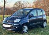 Fiat Panda 1.0 Klima Sitzheizung PDC TÜV Neu - Fiat New Panda von privat
