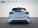 Ford Puma ST X - mit Benzin-Antrieb: Allradantrieb, Geländewagen