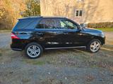 Mercedes-Benz ML 500 4MATIC - - Mercedes-Benz ML 500: 4matic