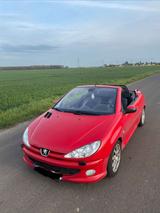 Peugeot 206 - Peugeot 206 in Köln