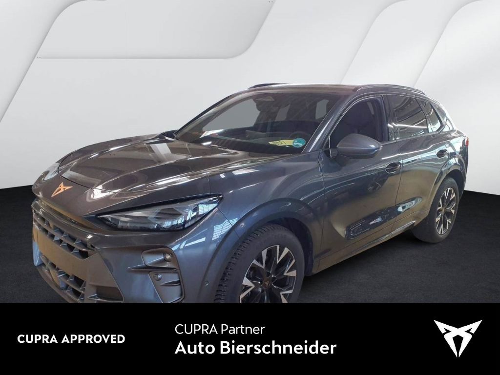 Cupra Terramar - Bild 1