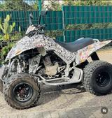 Dinli 450 S - Offers