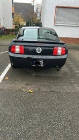 Fiat Lampertheim - Fiat Marengo Gebrauchtwagen