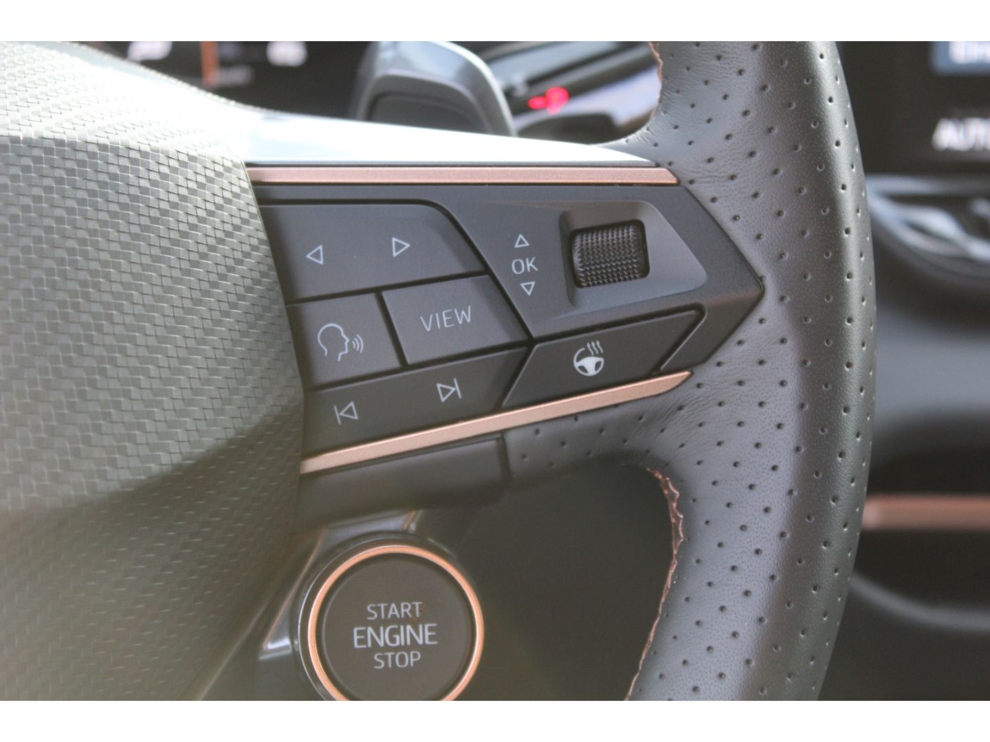 Cupra Terramar - Bild 9