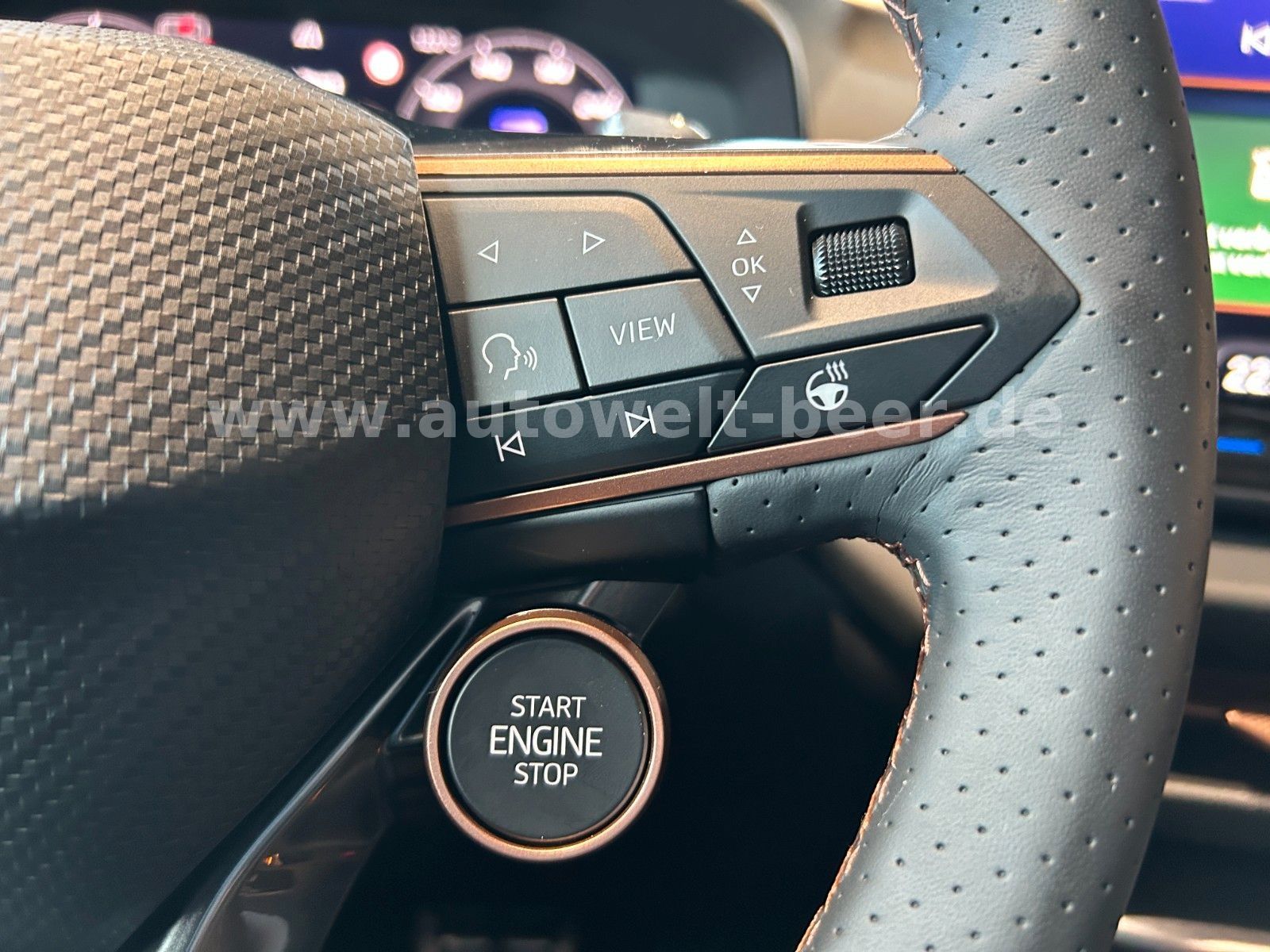 Cupra Terramar - Bild 8