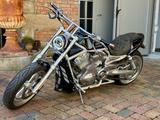 Harley-Davidson V-Rod / Thunderbike Customs - Harley-Davidson Motorräder in Braunschweig