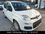 Fiat New Panda 1.2 8V LOUNGE Klimaanlage - Fiat New Panda Gebrauchtwagen