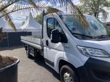 Fiat Ducato Pritsche - Fiat Ducato aus 2017