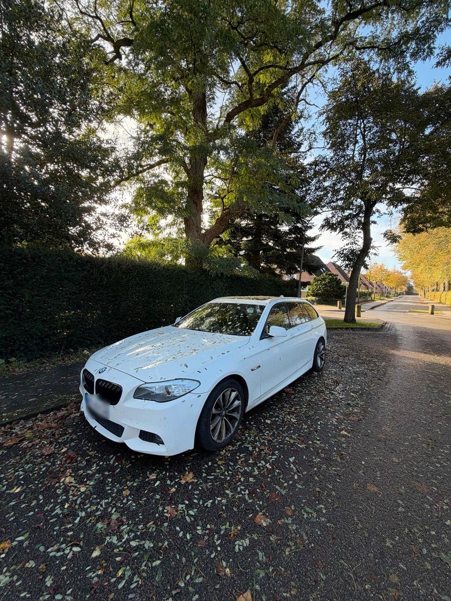 BMW 535 2012 — rear view