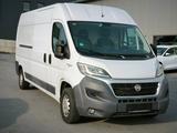 Fiat Ducato L4H2 GFK-Hygiene Ausbau+Rampe - Fiat Ducato: Kombi
