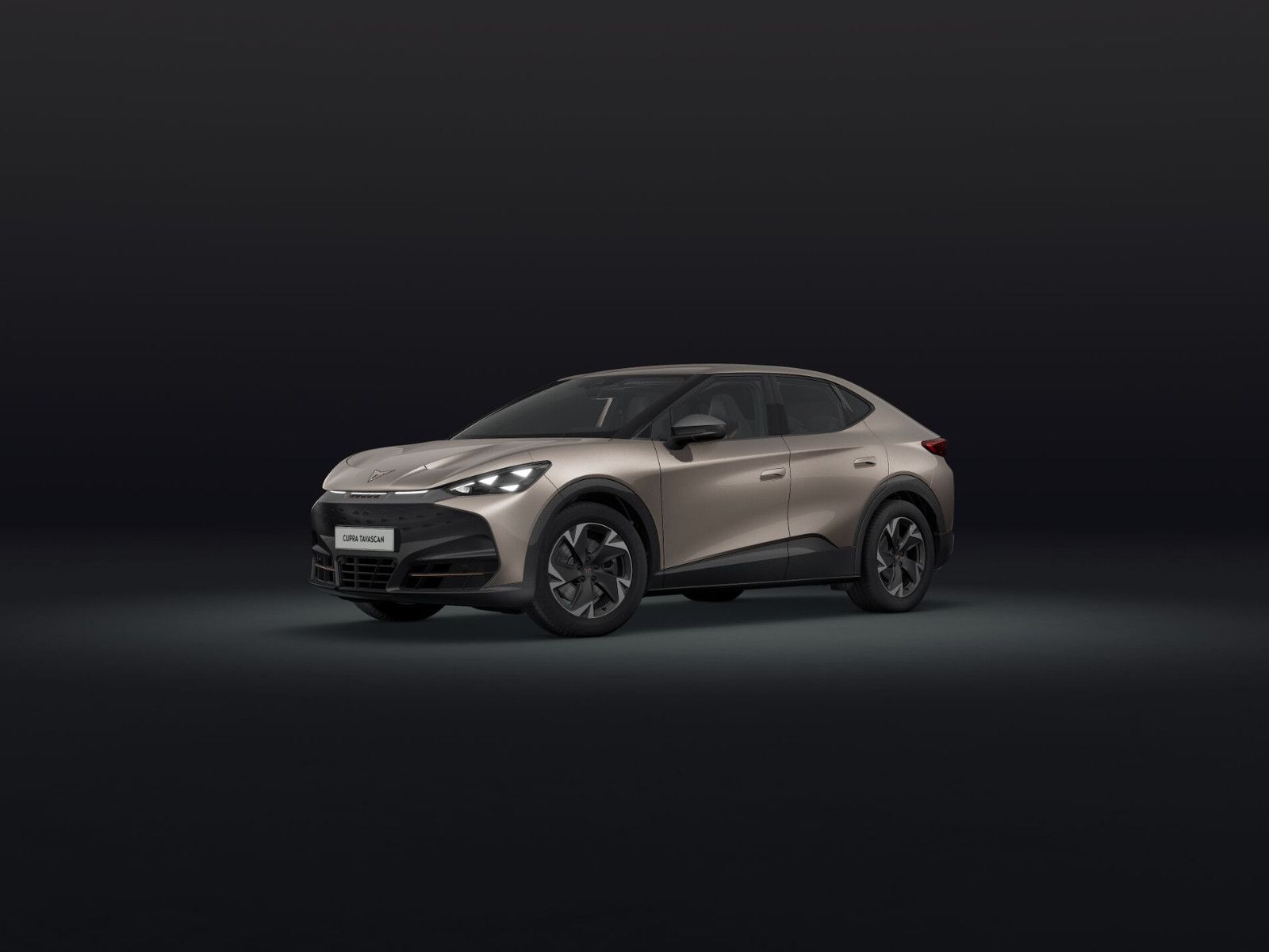 Cupra Tavascan - Bild 2