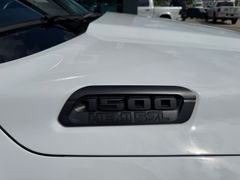 Fahrzeugabbildung Dodge RAM 1500 Gen.5 CrewCab BackCountry Pano U-frei