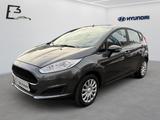 Ford Fiesta 1.0 Benzin 5-MT Trend Easy-Driver-, Winte - Ford Fiesta: 5d